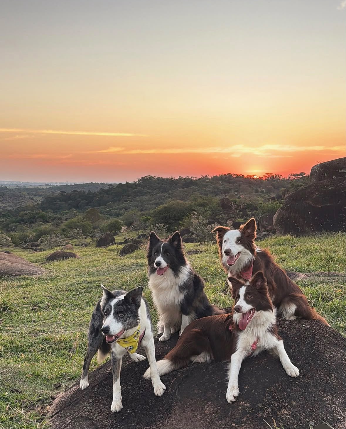 Trilha Pet Pôr do Sol
