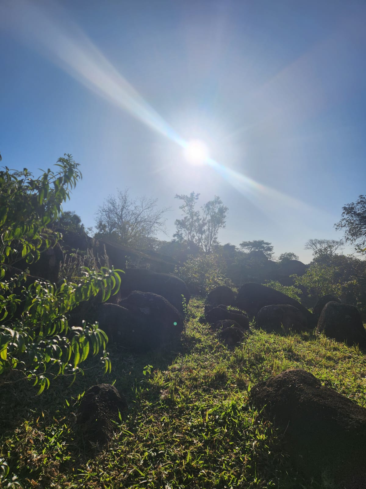 Trilha do Cipó