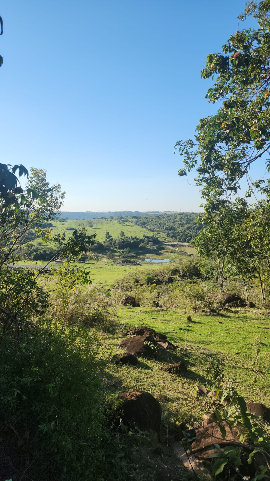 Trilha do Cipó